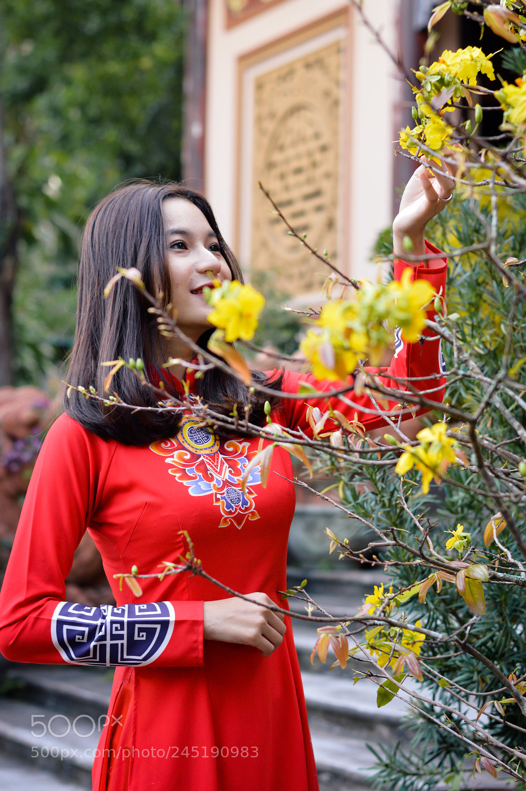 Nikon D3200 sample photo. Untitled photography