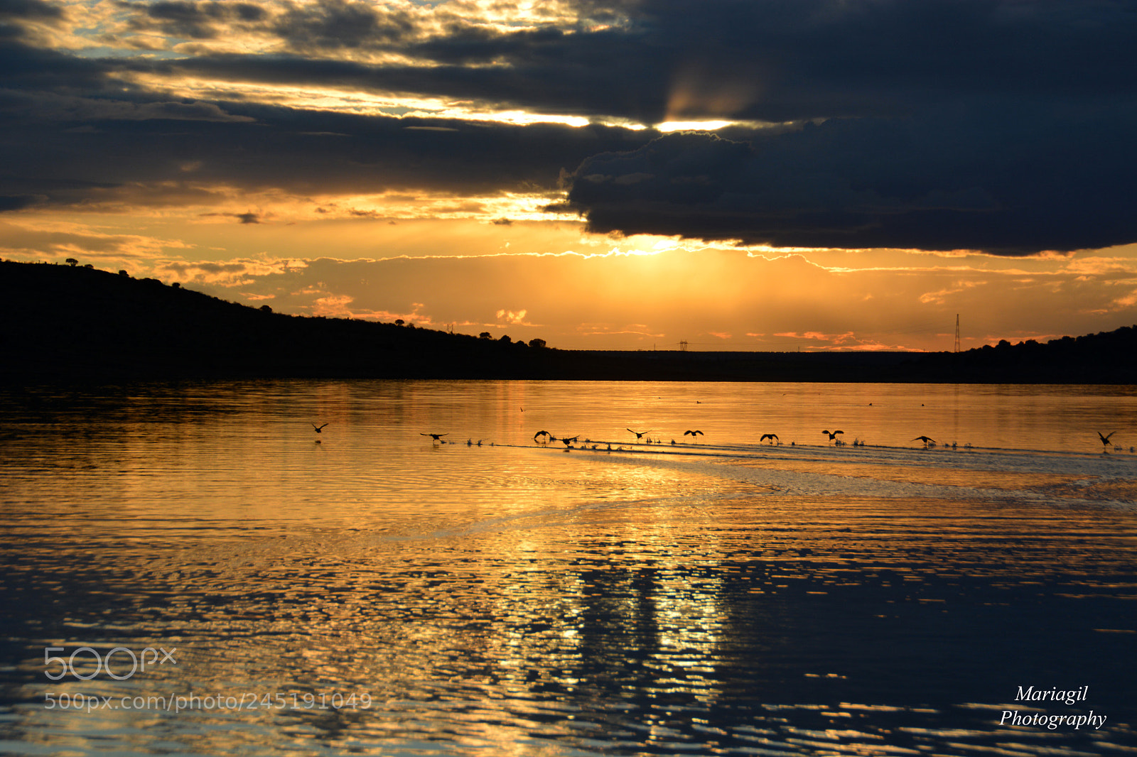 Nikon D5200 sample photo. Traza tu propio camino photography