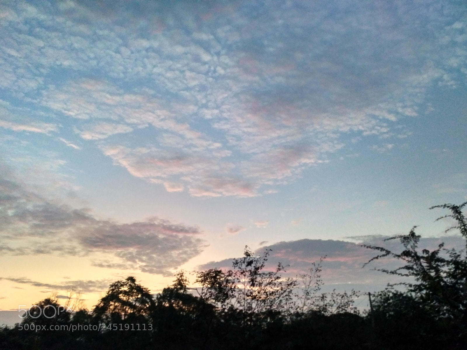 Xiaomi Redmi 3S sample photo. Untitled photography