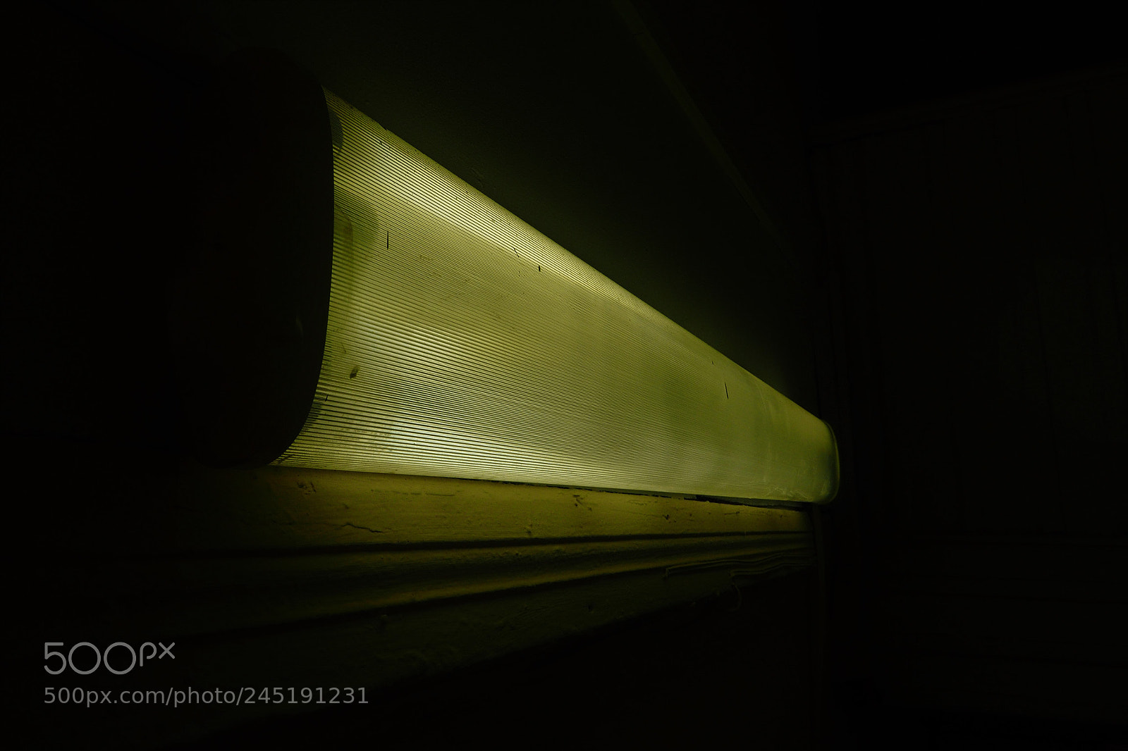 Olympus OM-D E-M1 sample photo. Green lamp photography
