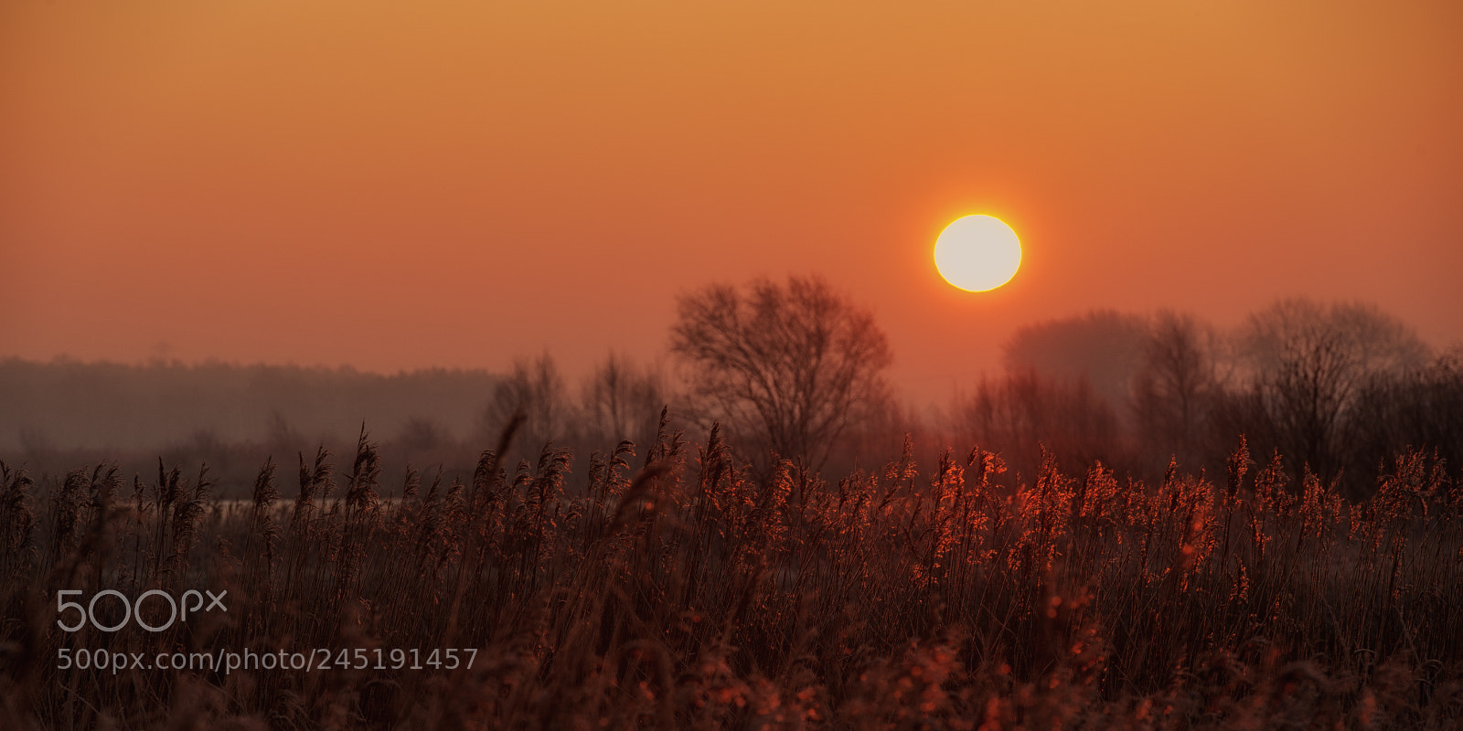 Nikon D3S sample photo. Winter sunrise photography