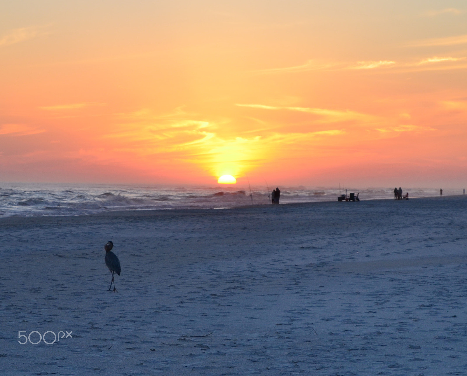 Nikon D5100 sample photo. Company at sunset photography