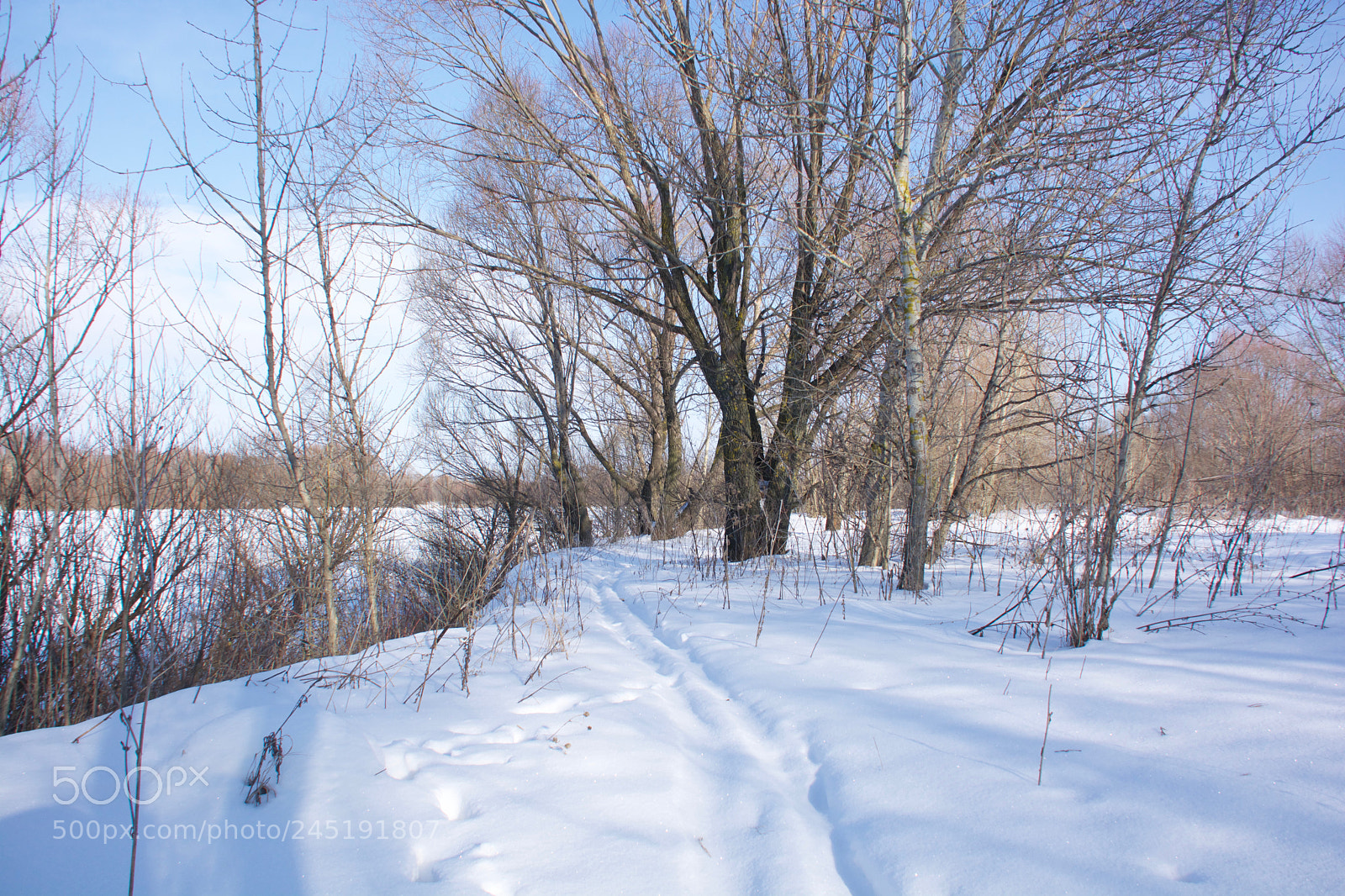 Nikon D7100 sample photo. 988_8066.jpg photography