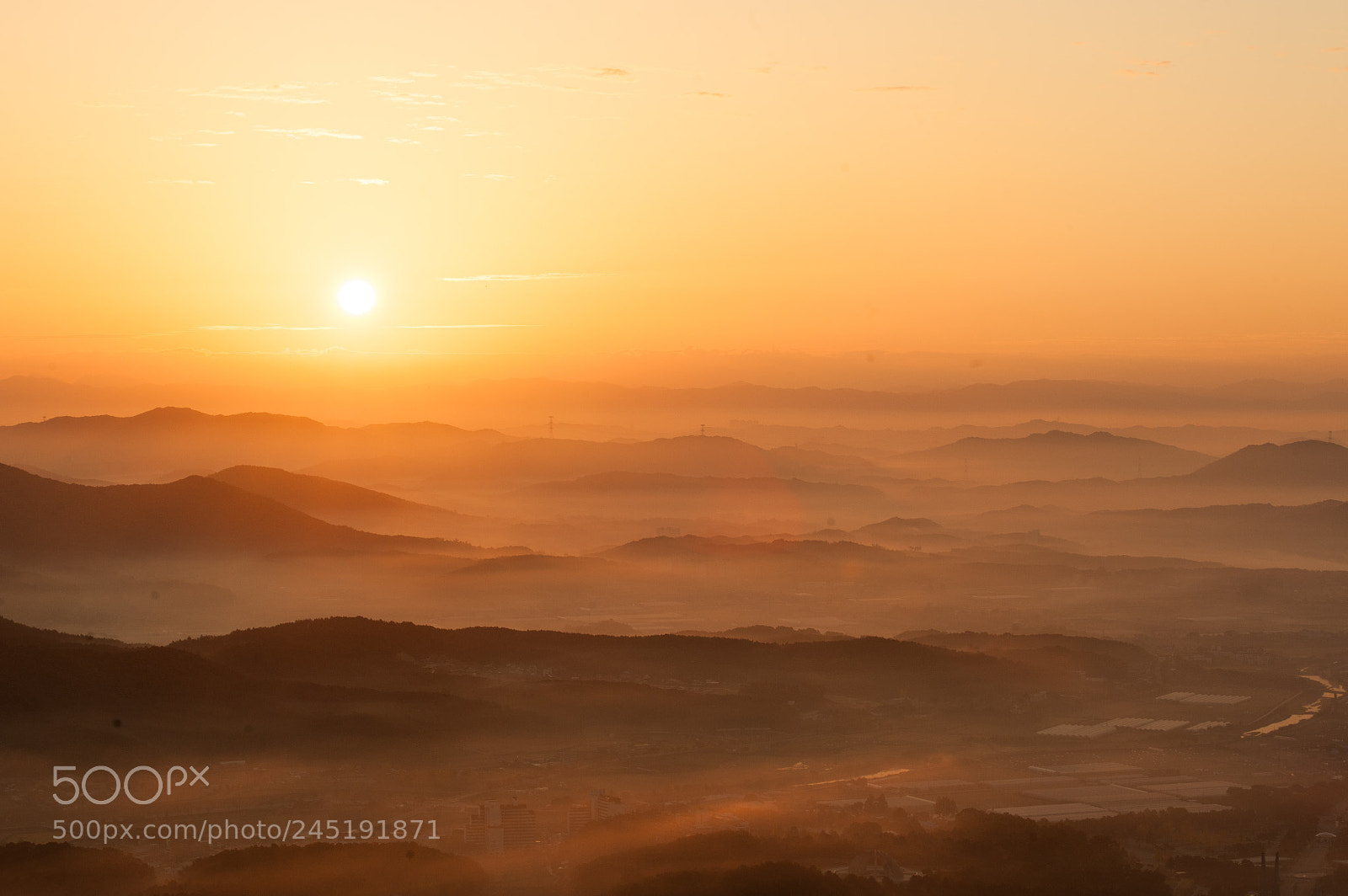 Nikon D700 sample photo. Sunrise with fog photography