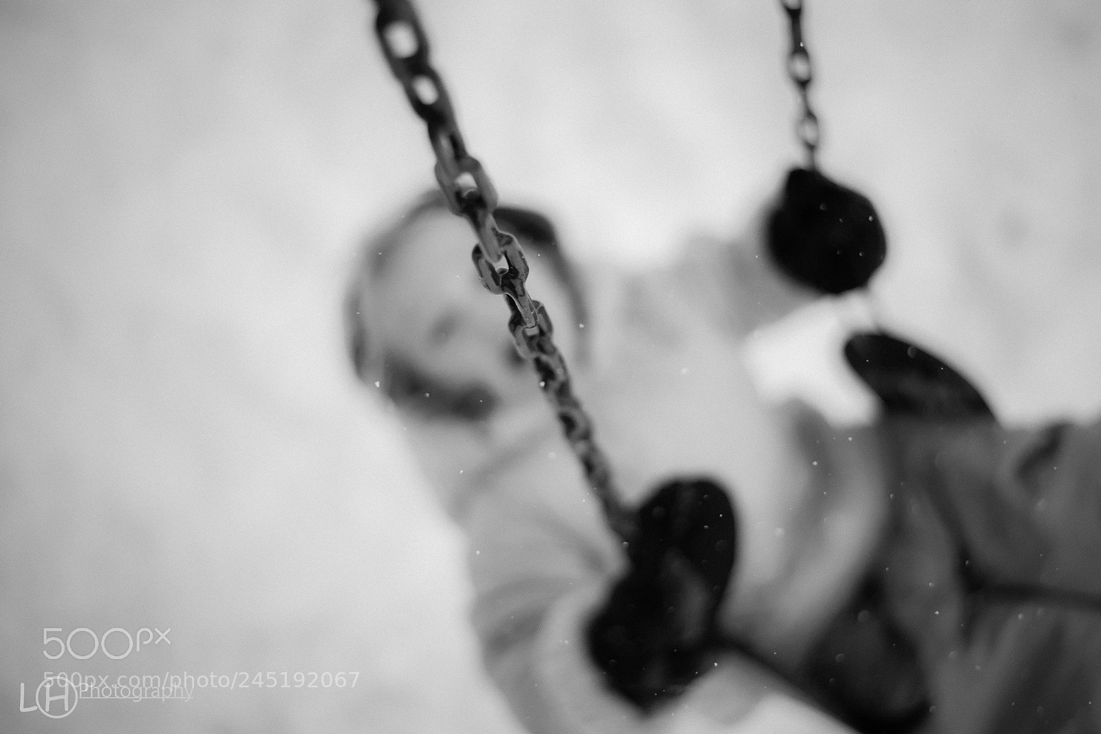 Nikon D810 sample photo. Untitled photography
