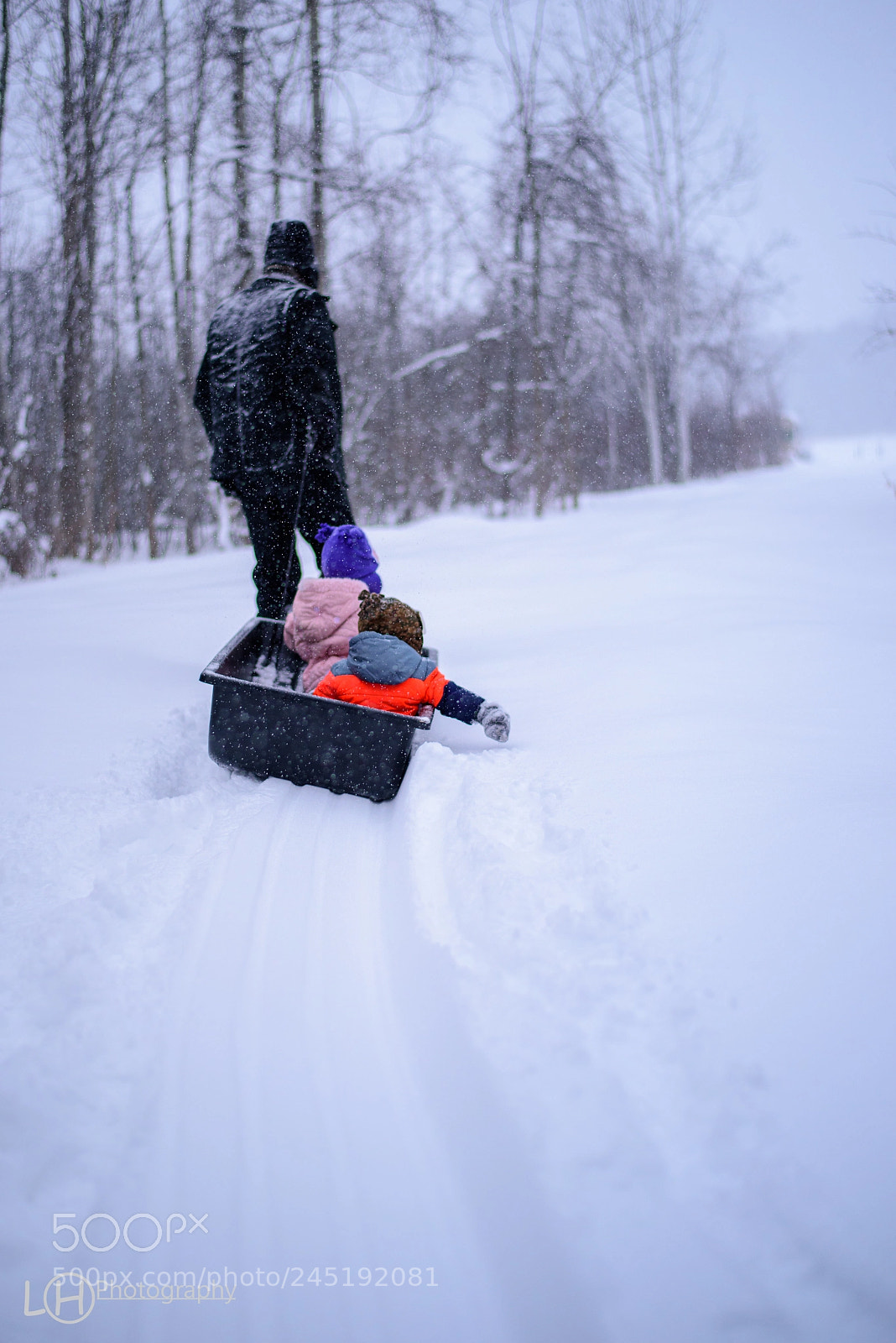 Nikon D810 sample photo. Sled ride photography