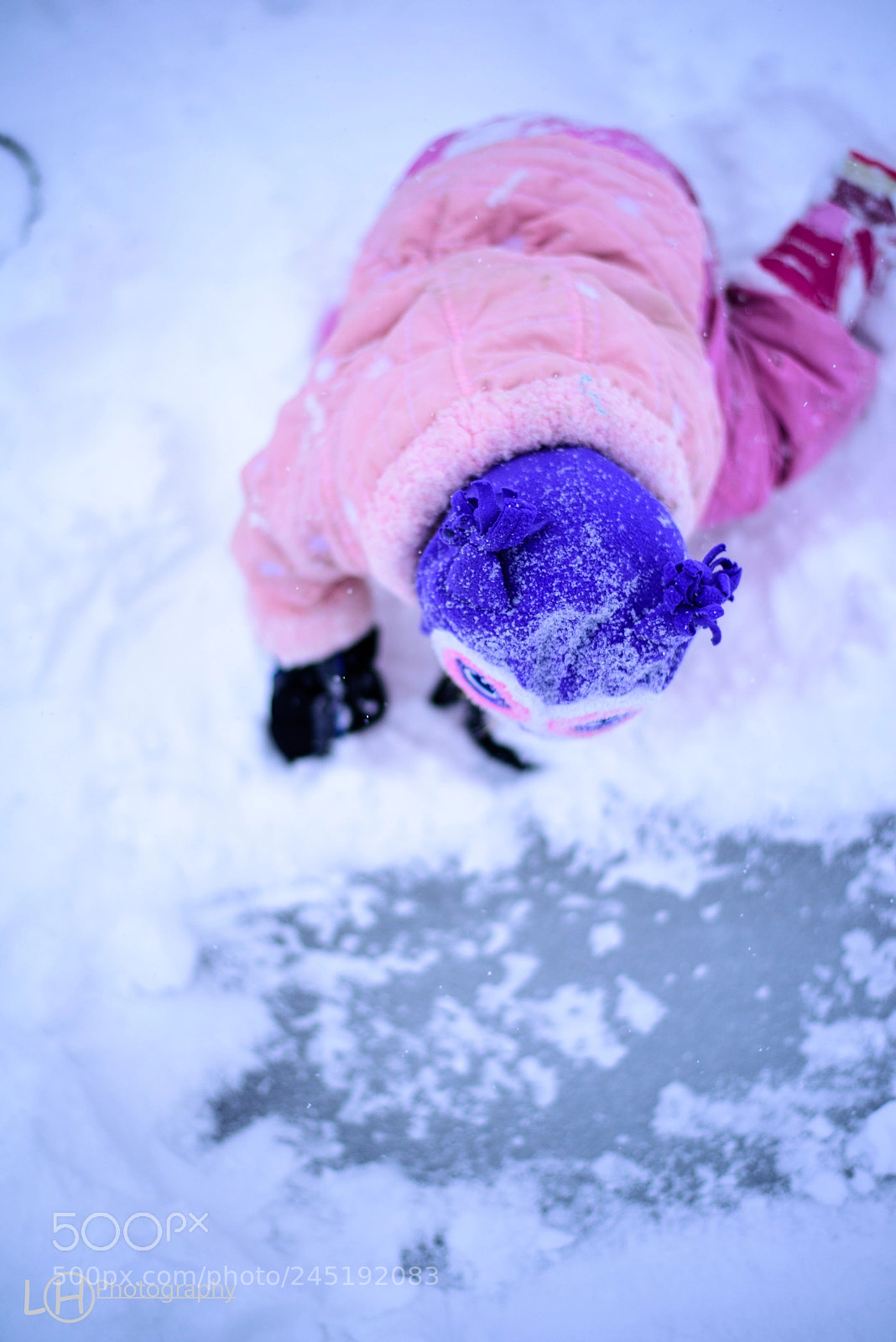 Nikon D810 sample photo. On the ice photography