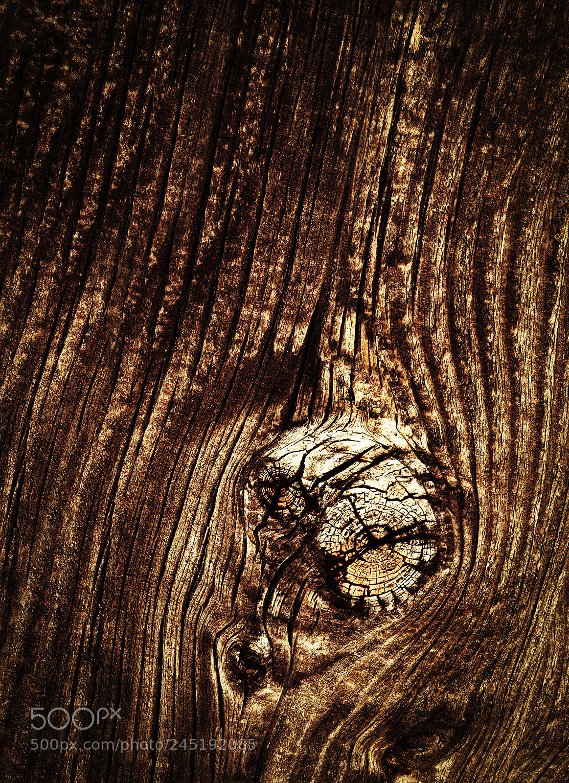 Nikon D5500 sample photo. Abstract wooden caries on photography