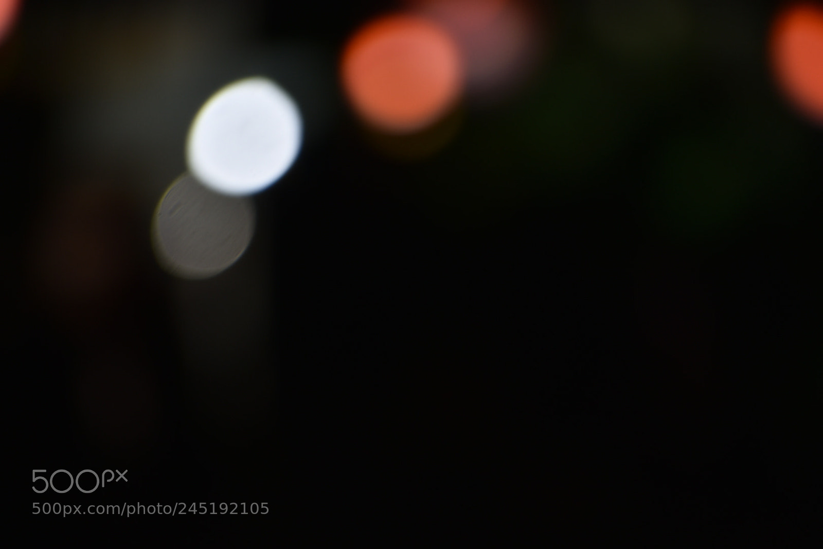 Nikon D3400 sample photo. Blur bg photography