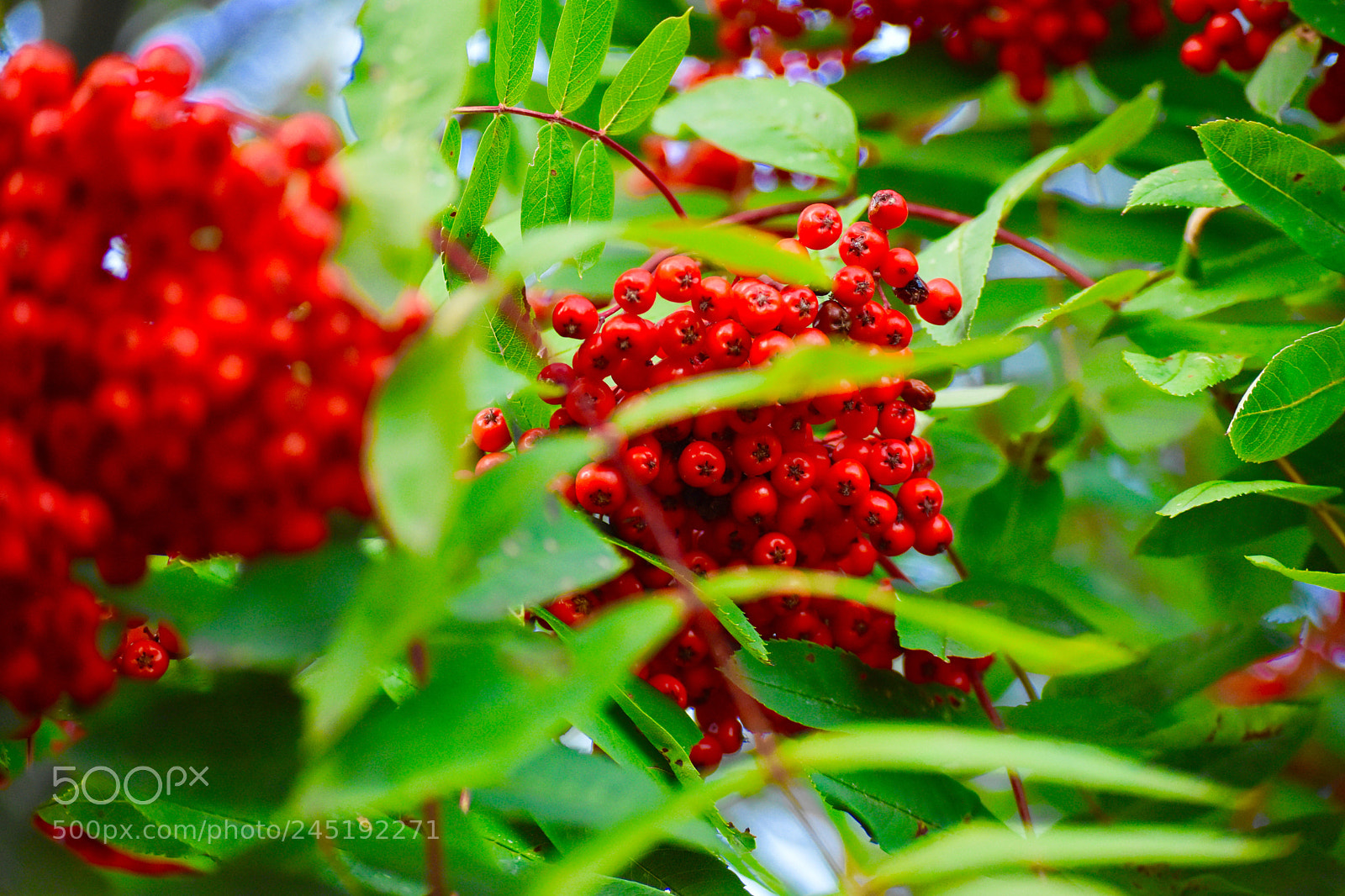 Nikon D3400 sample photo. Untitled photography