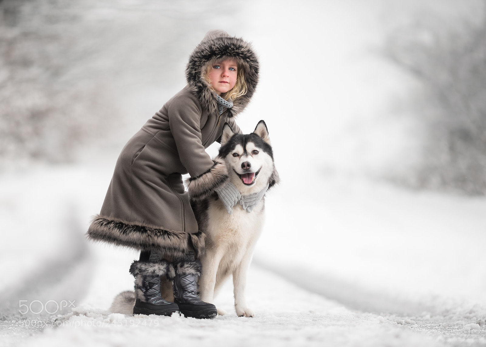 Nikon D810 sample photo. My husky sweety photography