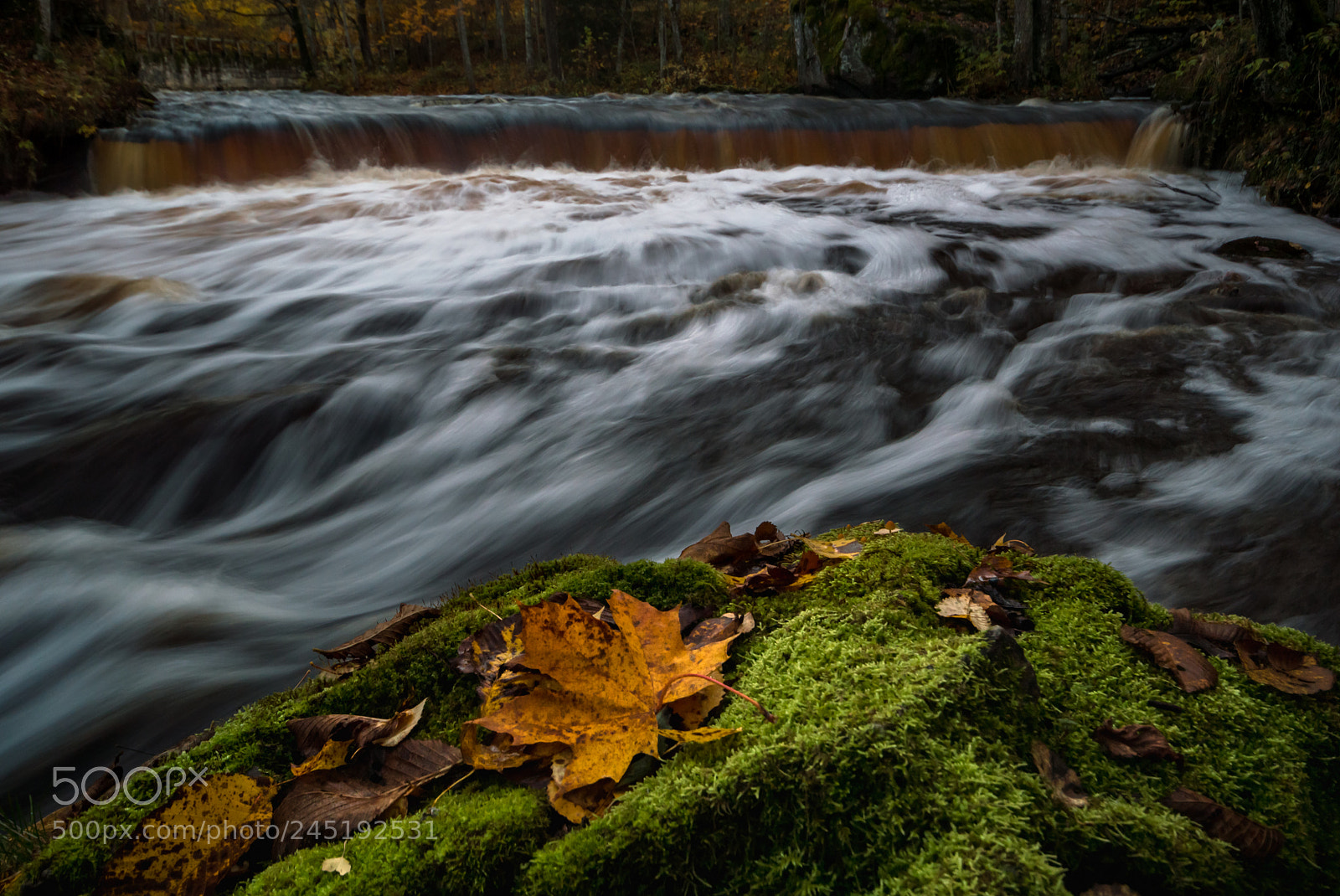Nikon D3200 sample photo. Something from last autumn photography