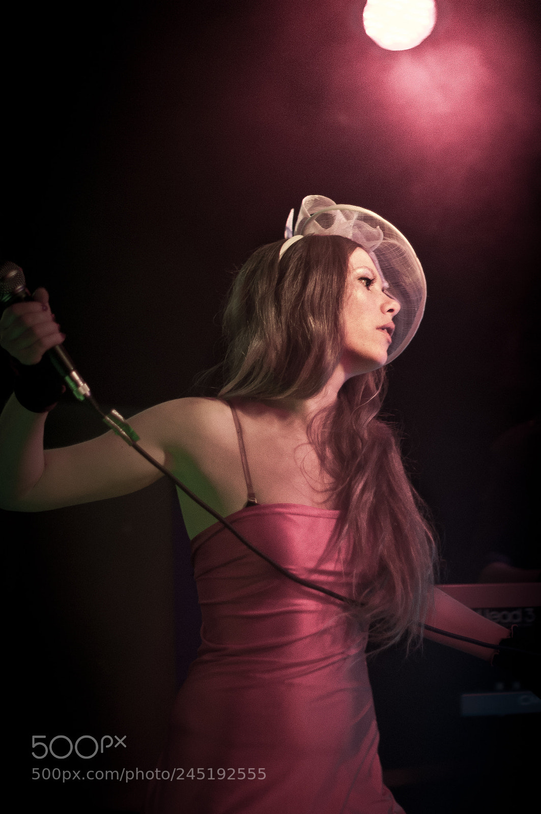 Nikon D300S sample photo. Purple voice photography