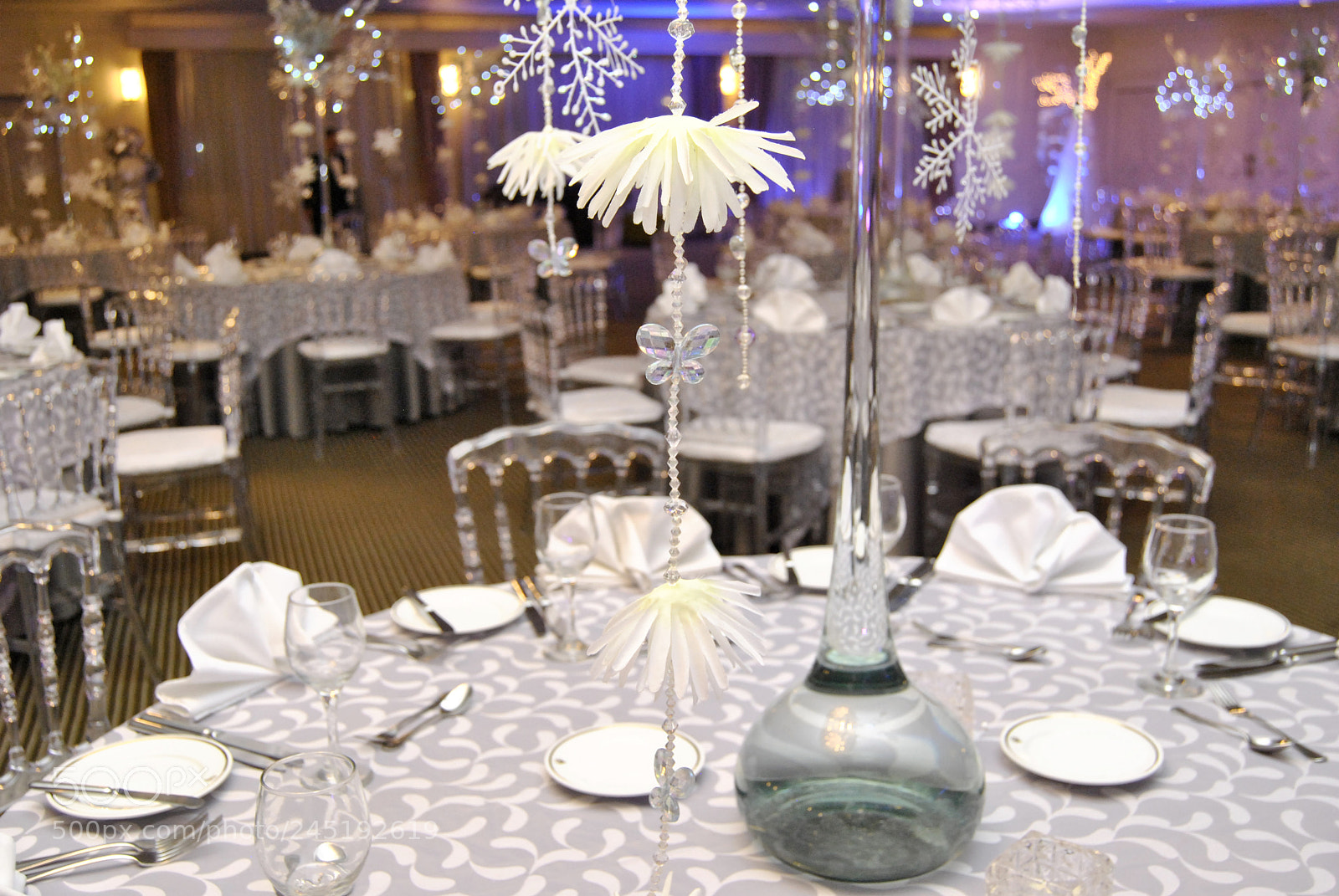 Nikon D3000 sample photo. ¨party n¨ photography