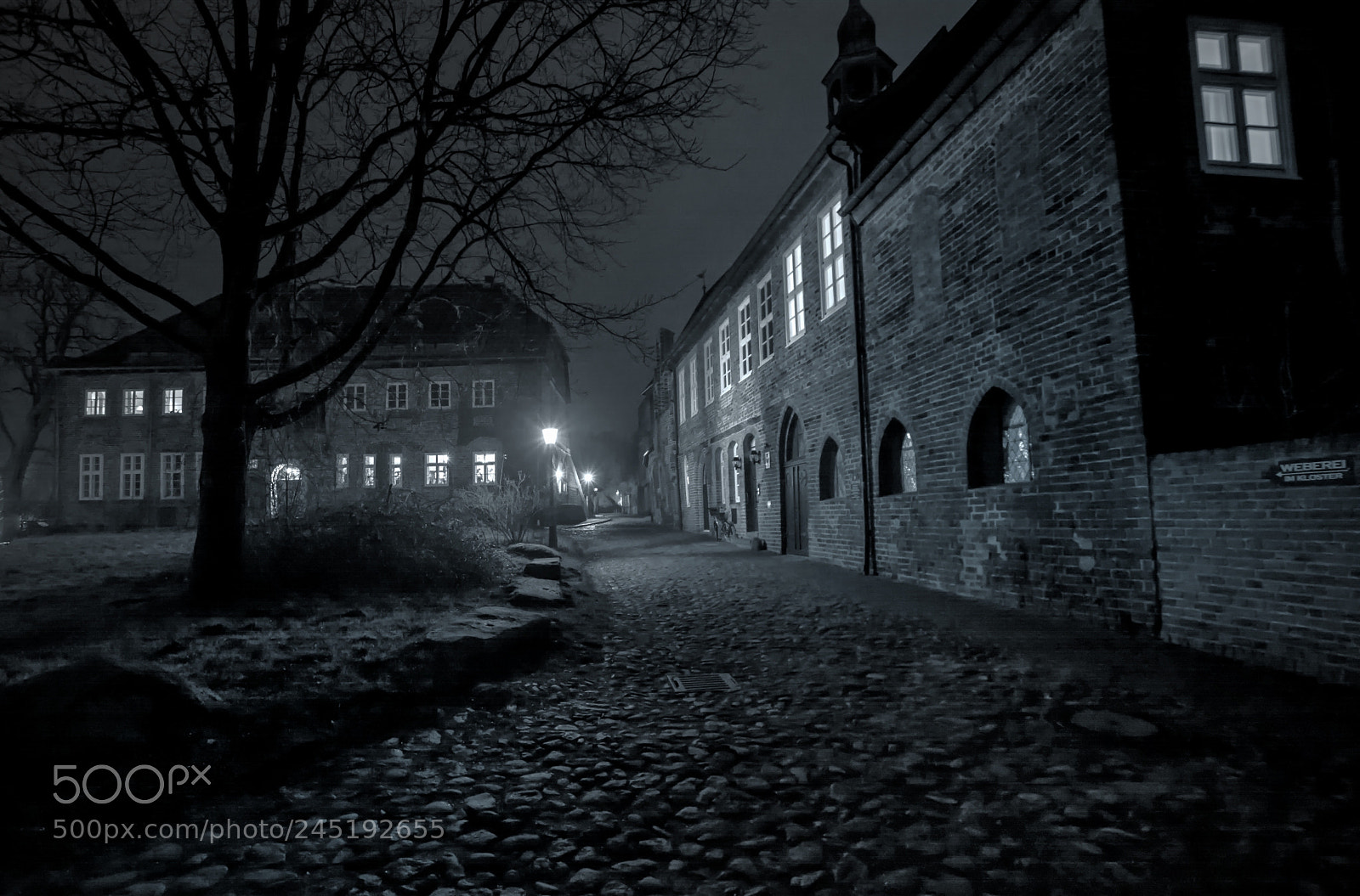 Nikon D7100 sample photo. Monastry lueneburg germany photography