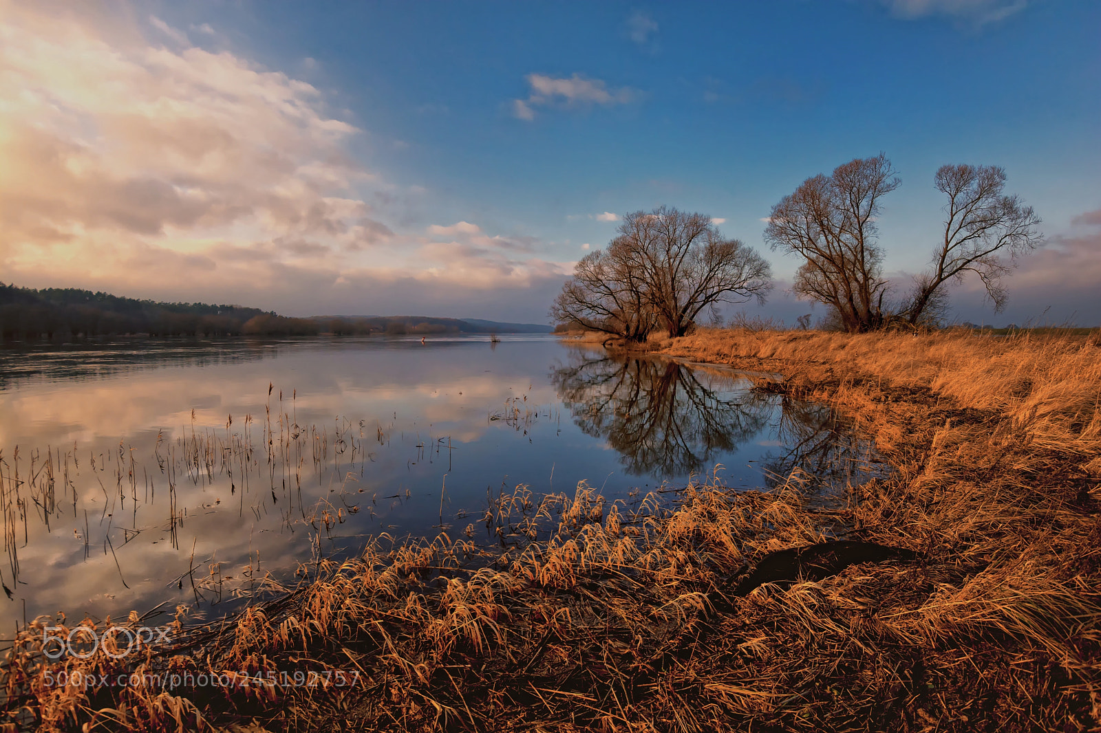 Nikon D7100 sample photo. January at the river photography