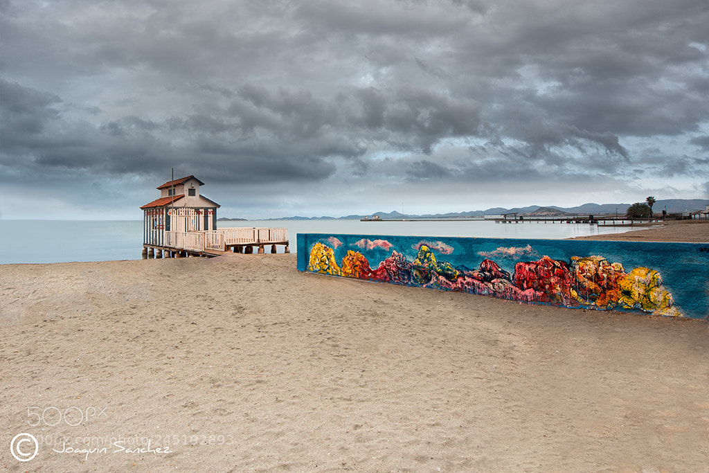 Nikon D800 sample photo. Los alcázares (murcia) photography