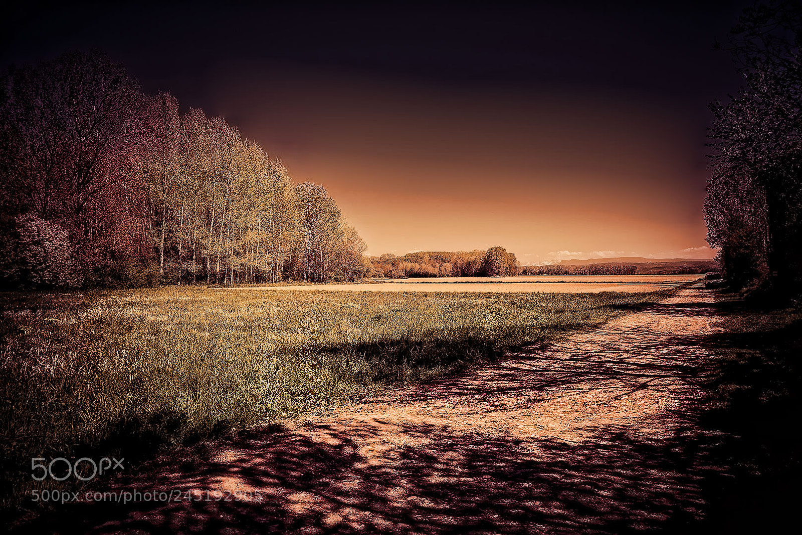 Nikon D610 sample photo. Nature photography