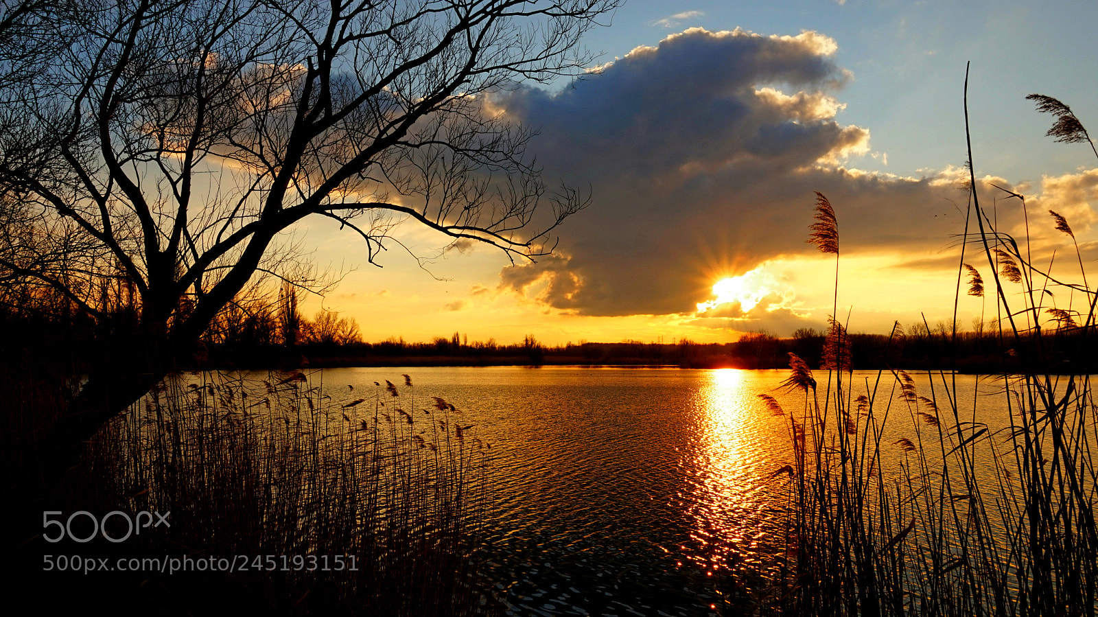 Sony Alpha a5000 (ILCE 5000) sample photo. Golden moments ... photography