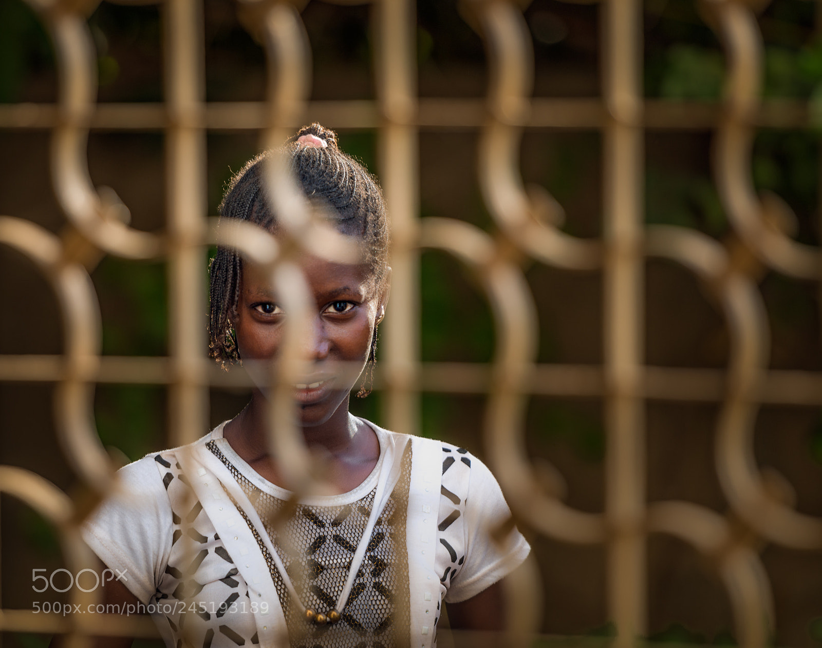 Nikon D800 sample photo. Curious photography