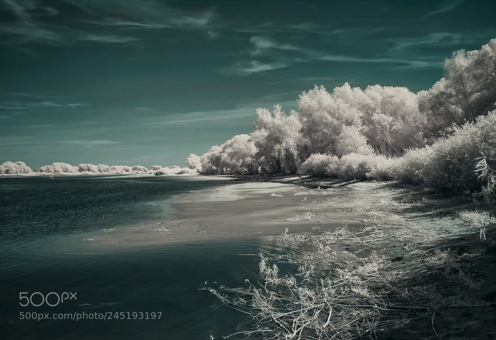 Nikon D70 sample photo. Beach and elbe ir photography