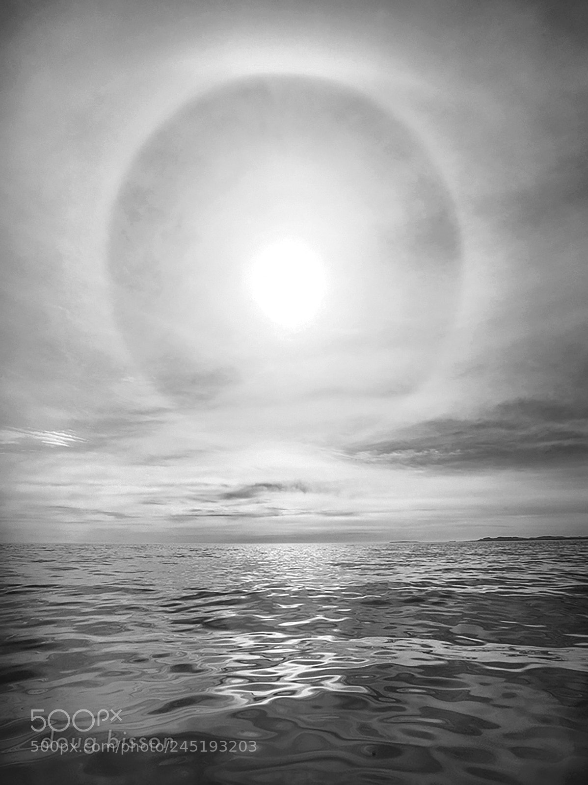 Canon EOS-1D X sample photo. Monochrome moisture photography