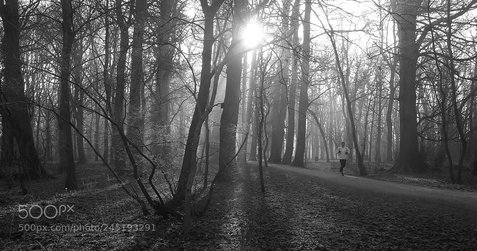Sony Alpha DSLR-A380 sample photo. A light breaking through photography