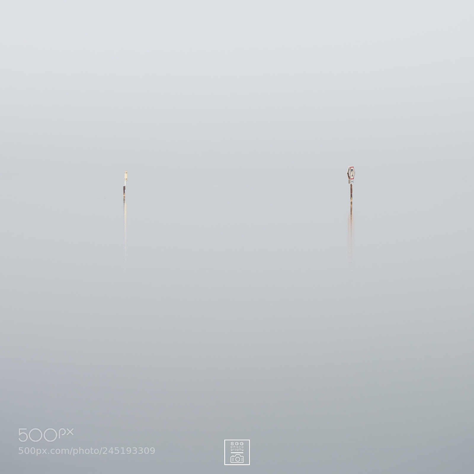 Sony a7R II sample photo. Poles photography