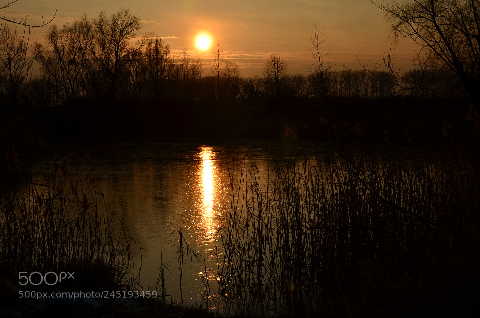 Nikon D5100 sample photo. 292 photography