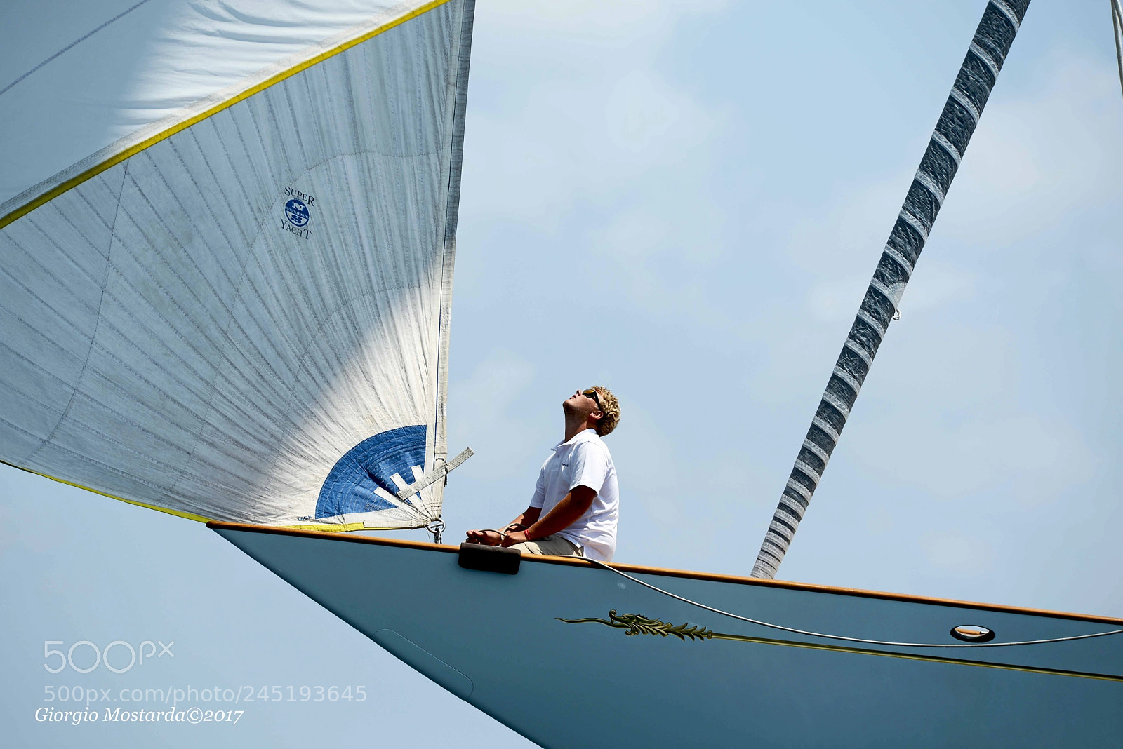 Nikon D600 sample photo. Look at the wind photography