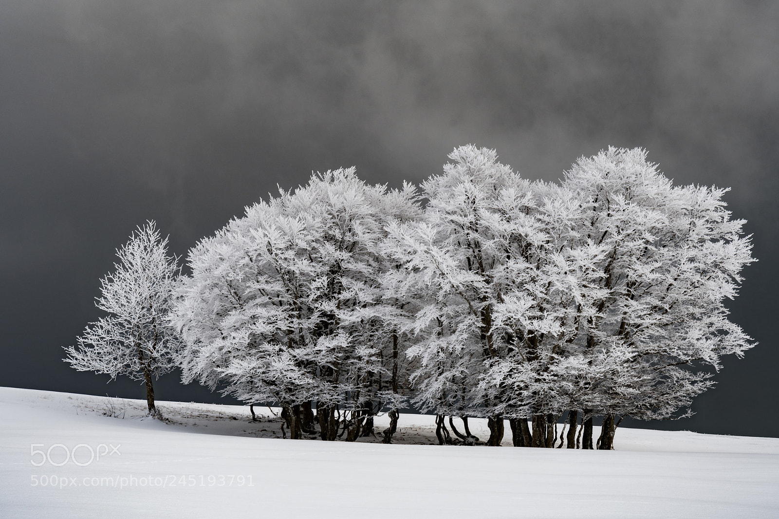Nikon D500 sample photo. Jura winter 2 photography
