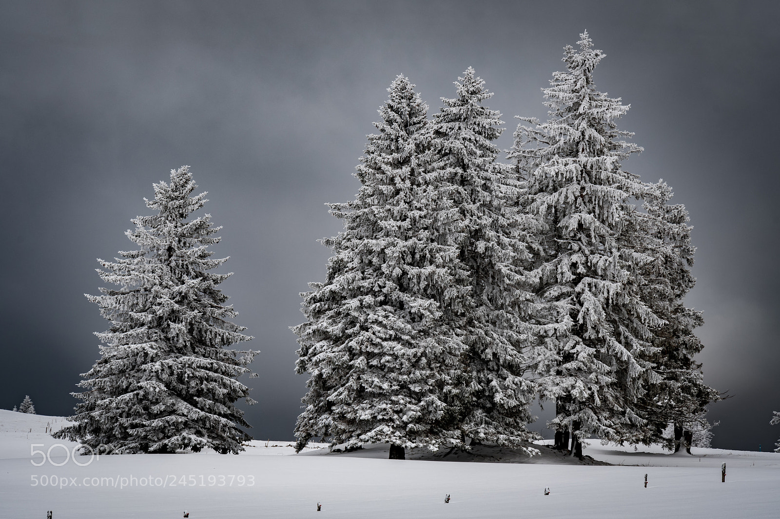 Nikon D500 sample photo. Jura winter 1 photography