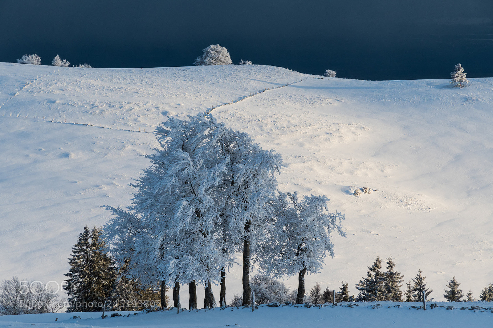 Nikon D500 sample photo. Jura winter 6 photography