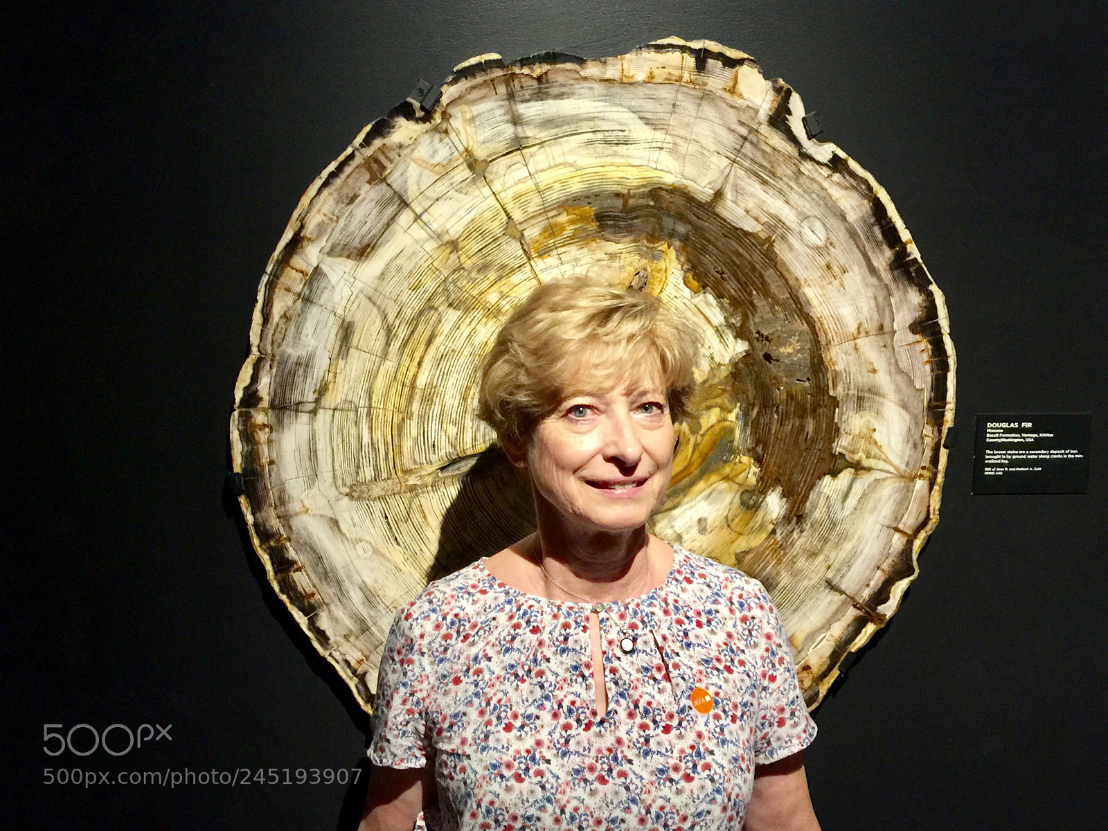 Apple iPhone 6 Plus sample photo. Teresa on a petrified photography