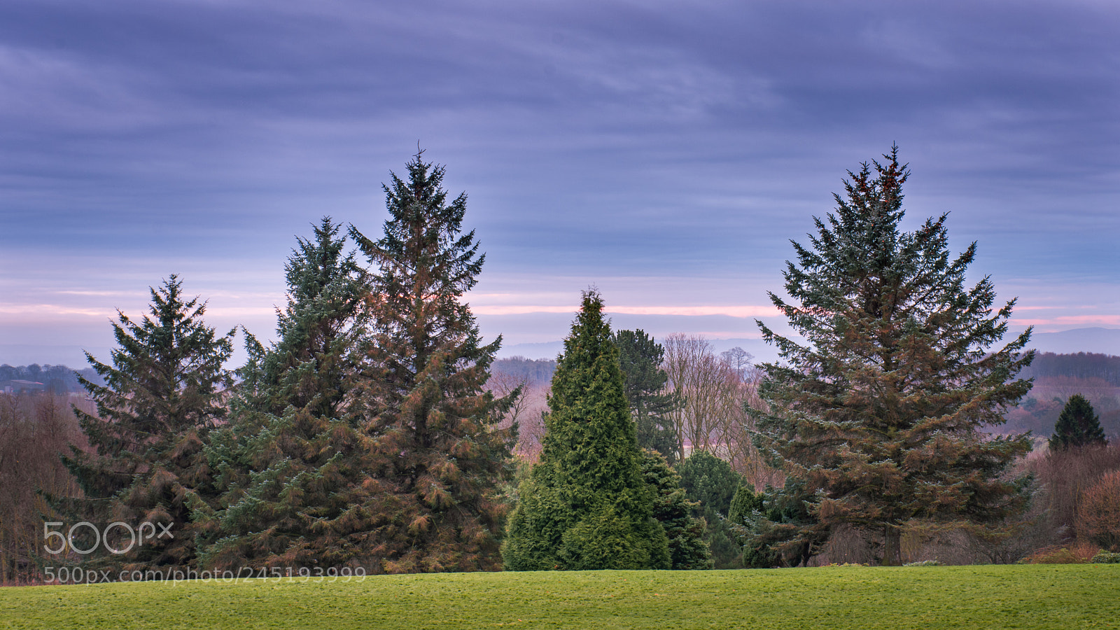 Nikon D7200 sample photo. Pittencrieff park photography
