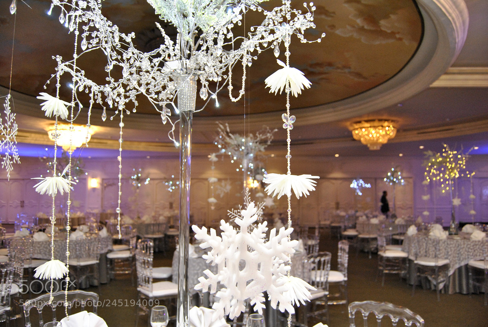 Nikon D3000 sample photo. ¨party n¨ photography