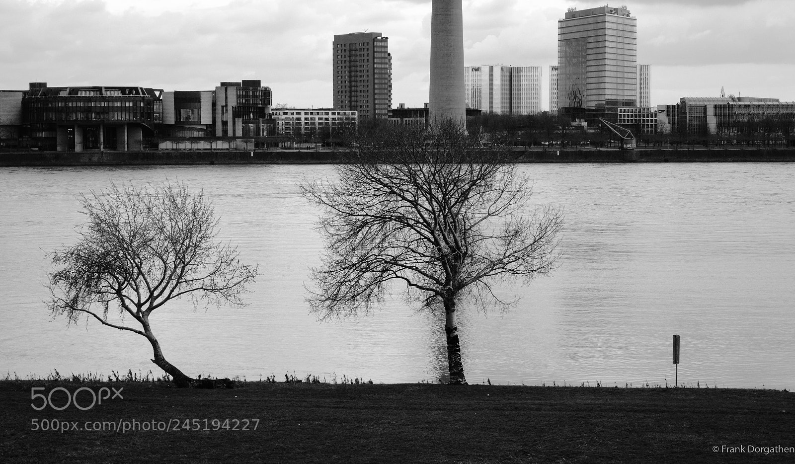 Sony Cyber-shot DSC-RX10 II sample photo. Banks of the river  photography