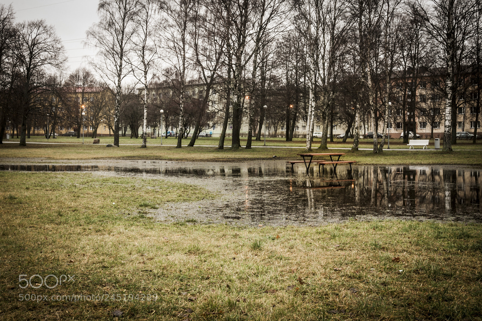 Nikon D90 sample photo. Park in tallinn photography