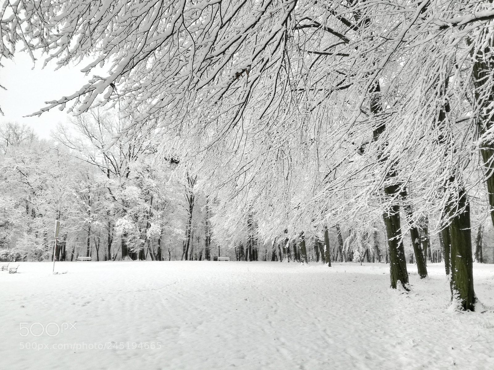 HUAWEI P9 LITE sample photo. Snow park photography