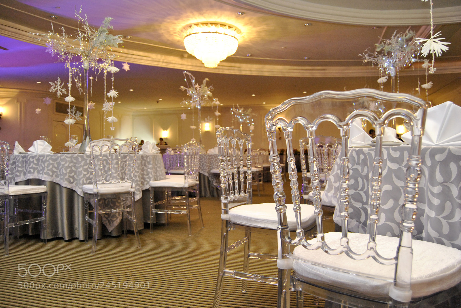Nikon D3000 sample photo. ¨party n¨ photography