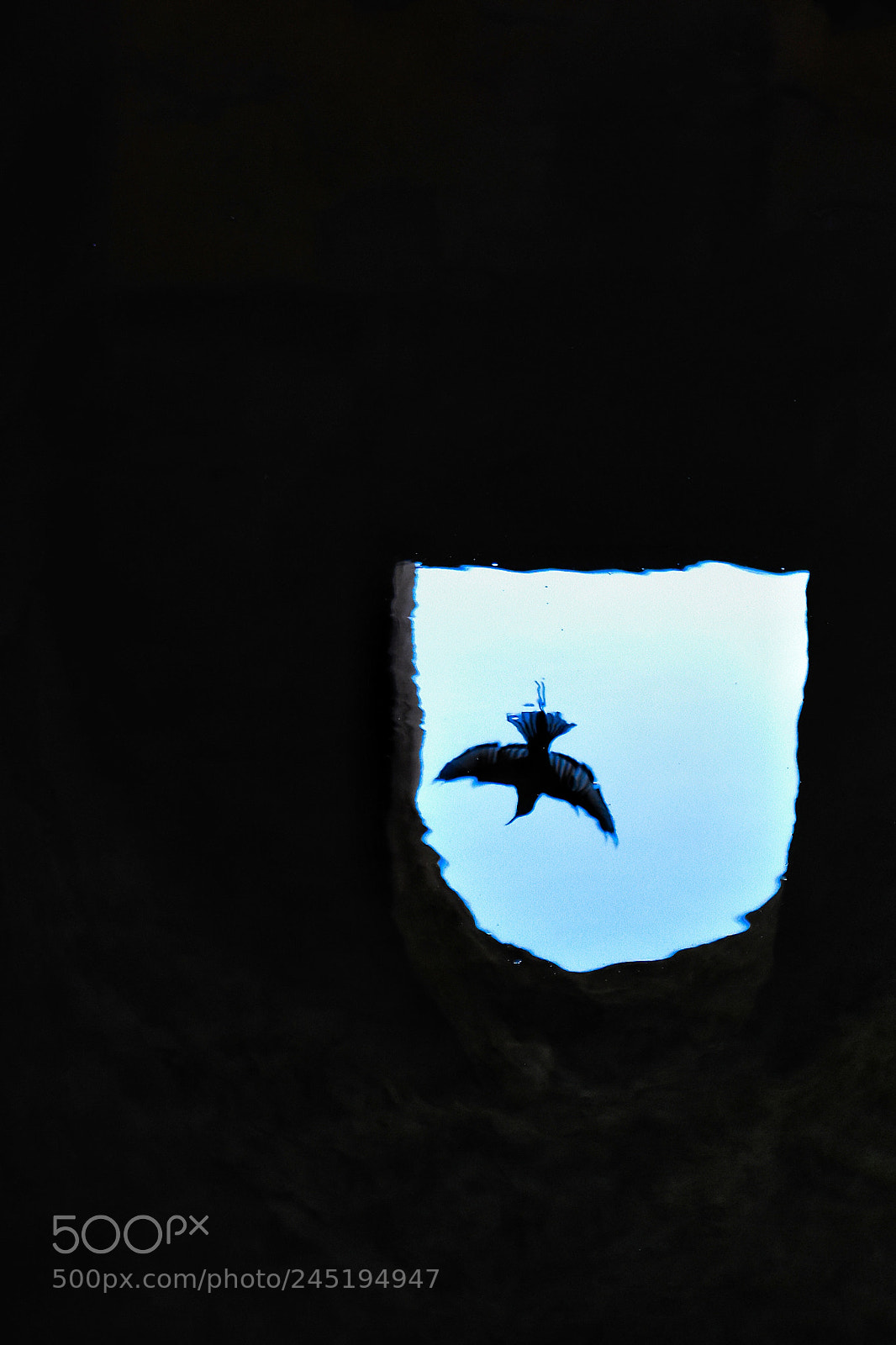 Nikon D3400 sample photo. Untitled photography
