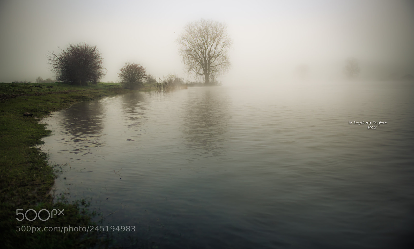 Nikon D800 sample photo. Empel - maas 2752 photography
