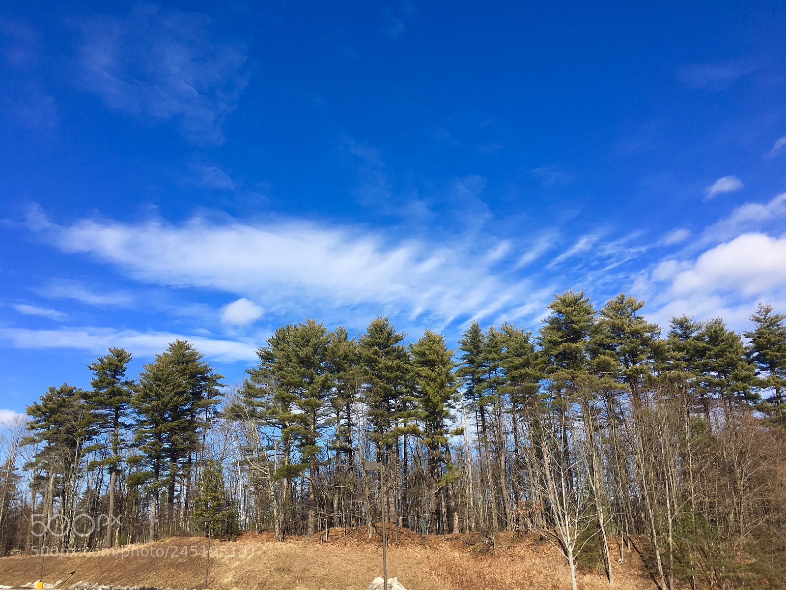 Apple iPhone 6s Plus sample photo. Blue sky day photography