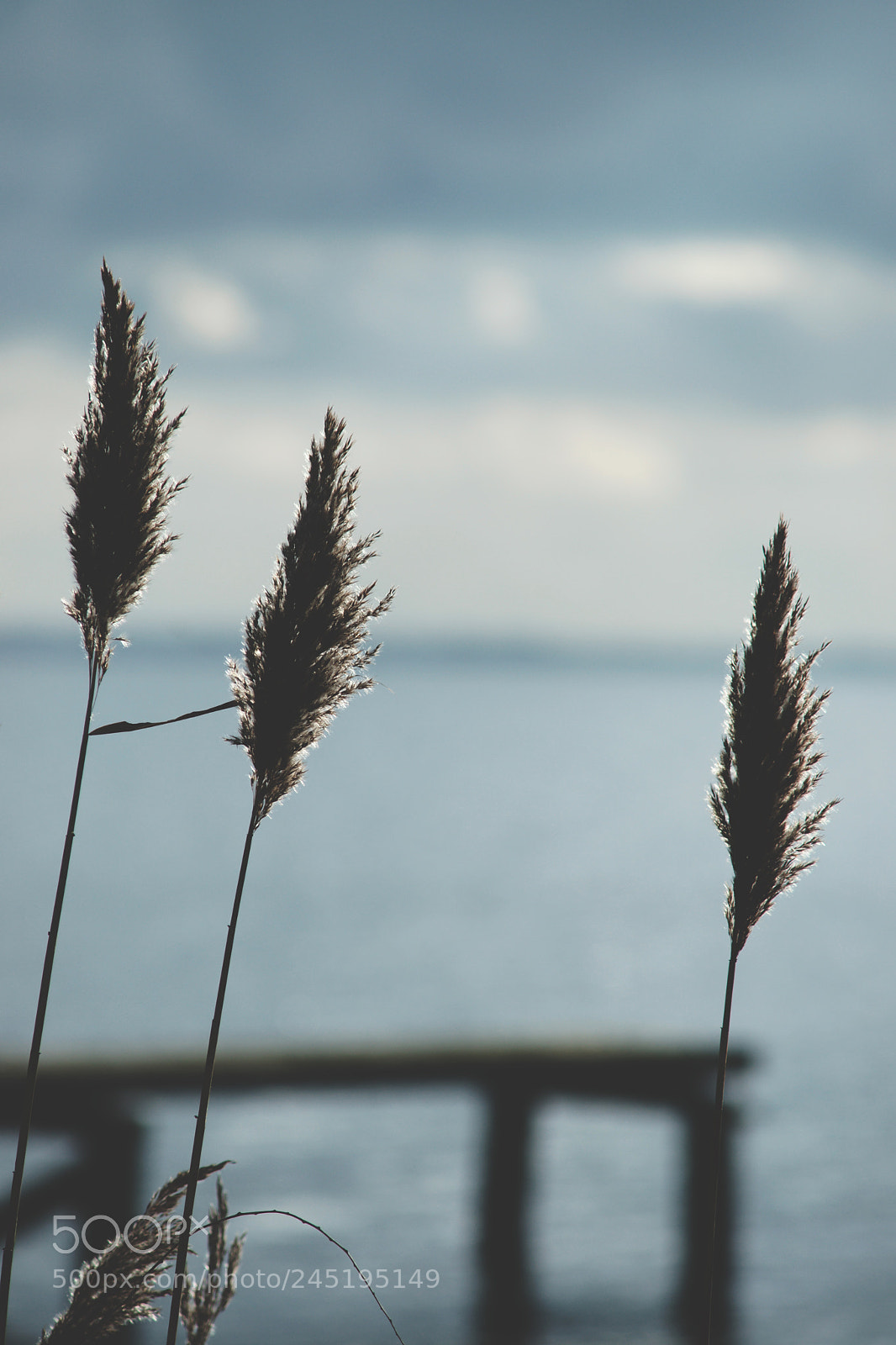Sony Alpha DSLR-A900 sample photo. Three kings. photography