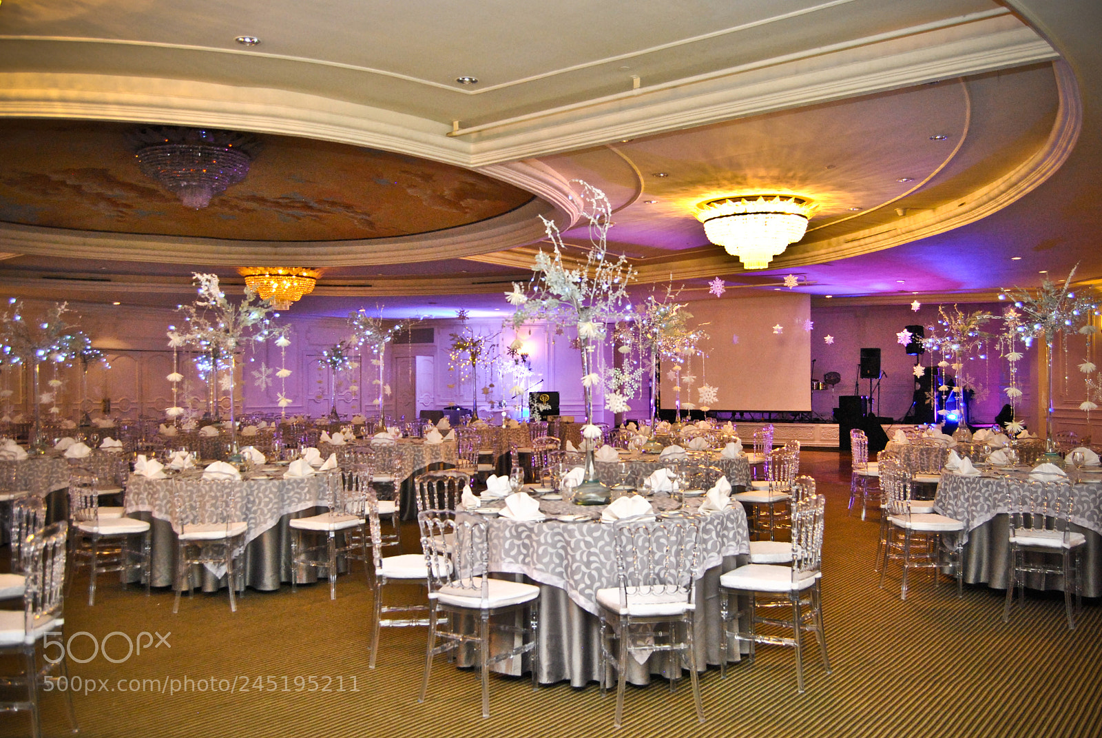 Nikon D3000 sample photo. ¨party n¨ photography