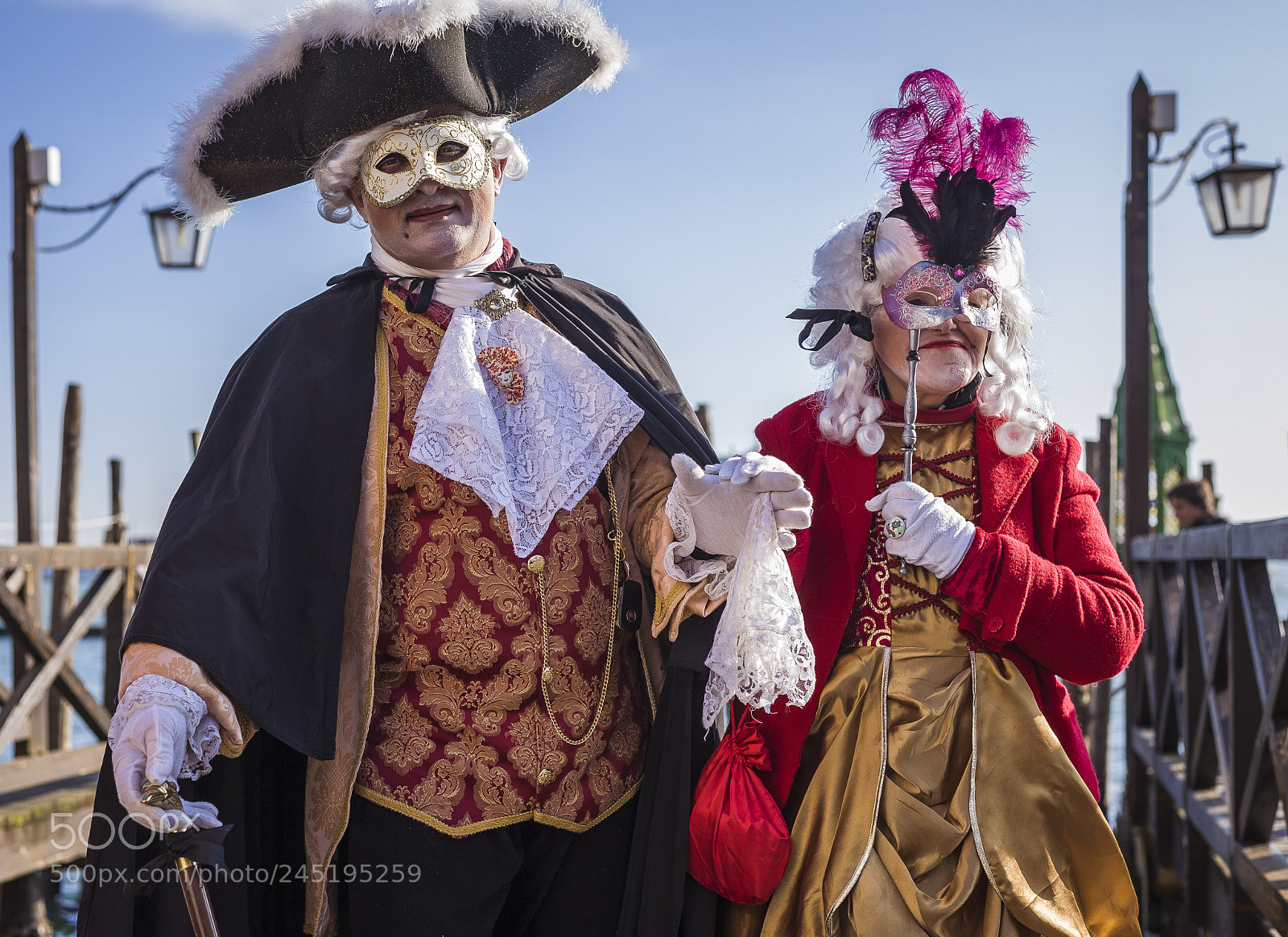 Nikon D700 sample photo. Carnival mask in venice photography