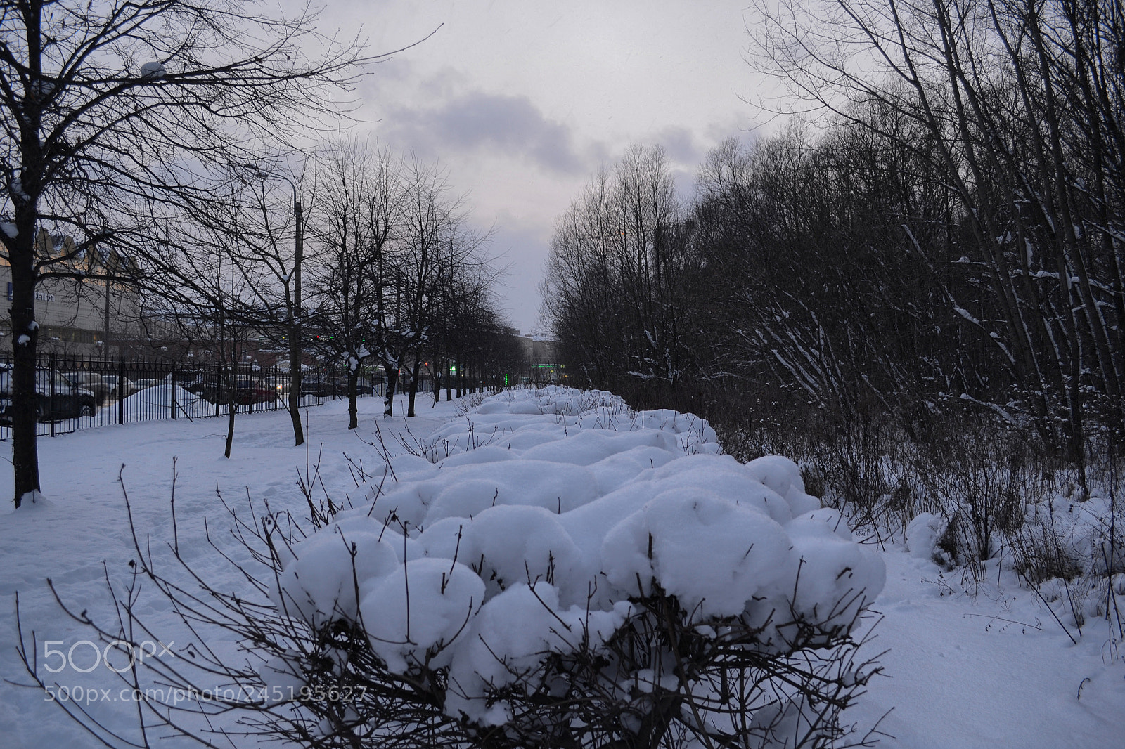 Nikon D3100 sample photo. After snowfall photography