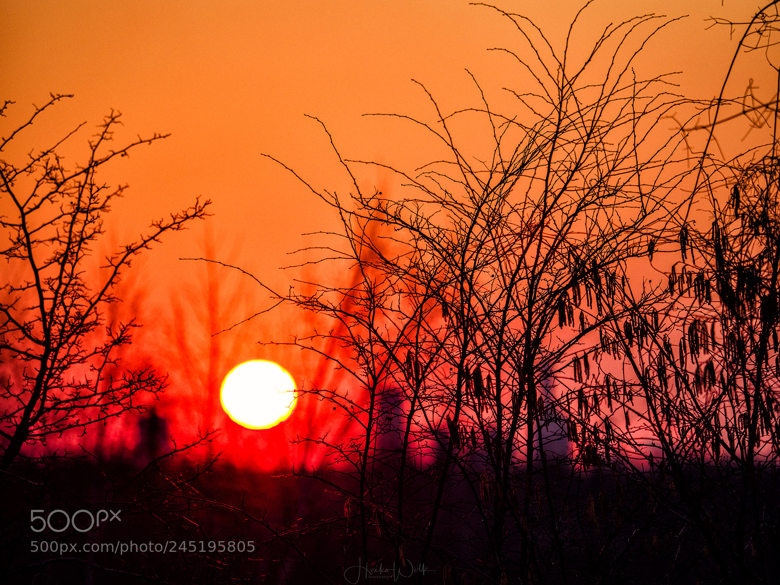 Olympus OM-D E-M1 Mark II sample photo. Sunset bokeh photography