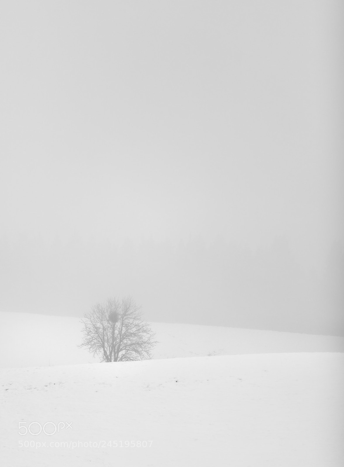 Canon EOS 5DS R sample photo. Aislamiento photography