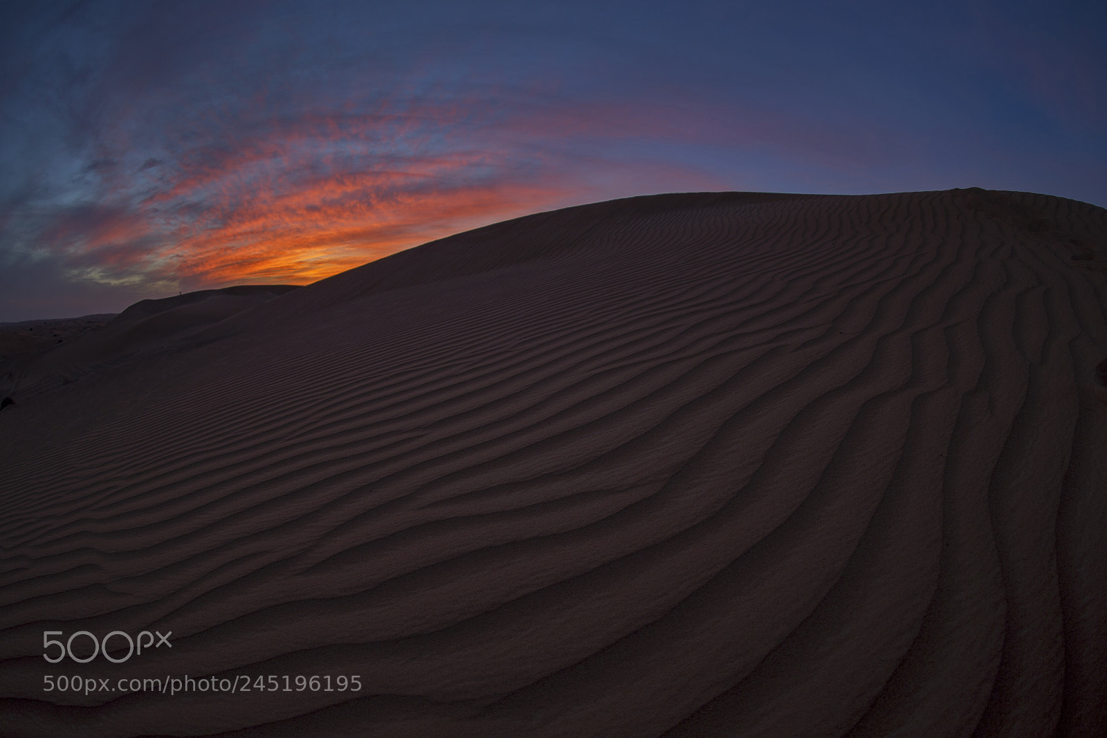 Canon EOS-1D X sample photo. Sunset in desert photography